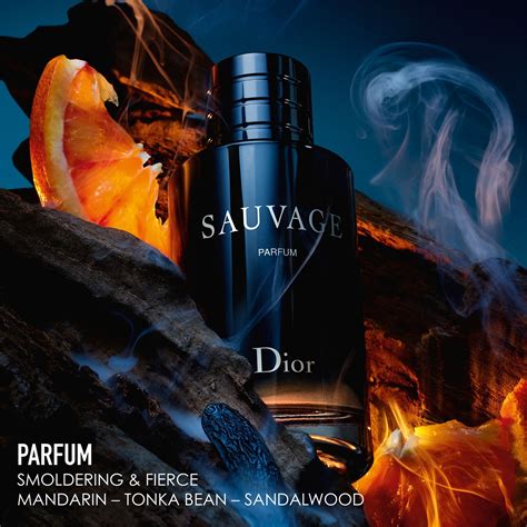 dior sauvage parfum pakket|dior sauvage unisex.